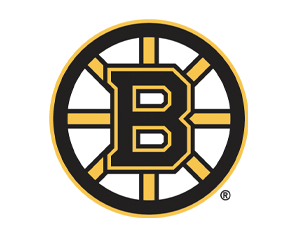 Bruins Hockey team logo